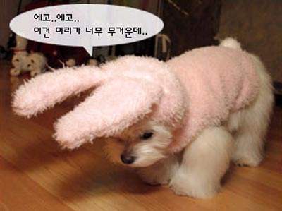 รูปประกอบความคิดเห็น