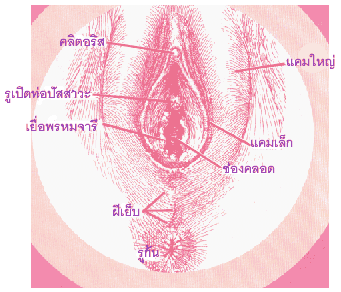 ผู้หญิงนะคะดอทคอม